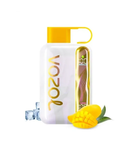 Vozol Star 40000 Mango Ice Vozol Star 40000 Mango Ice